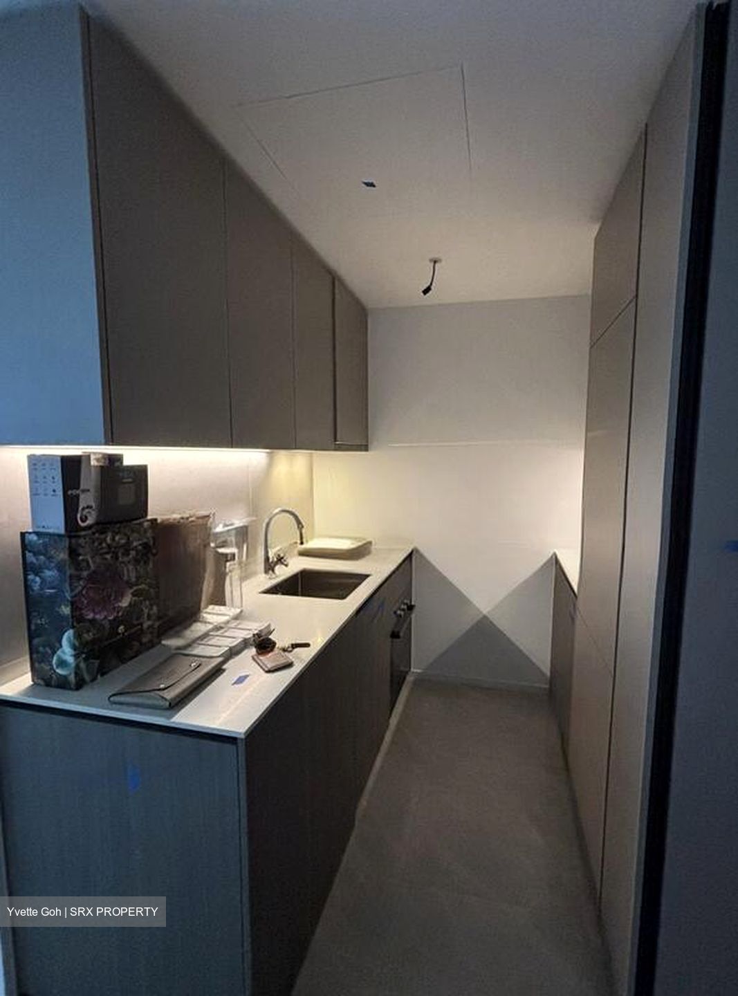 Piccadilly Grand (D8), Apartment #498861171